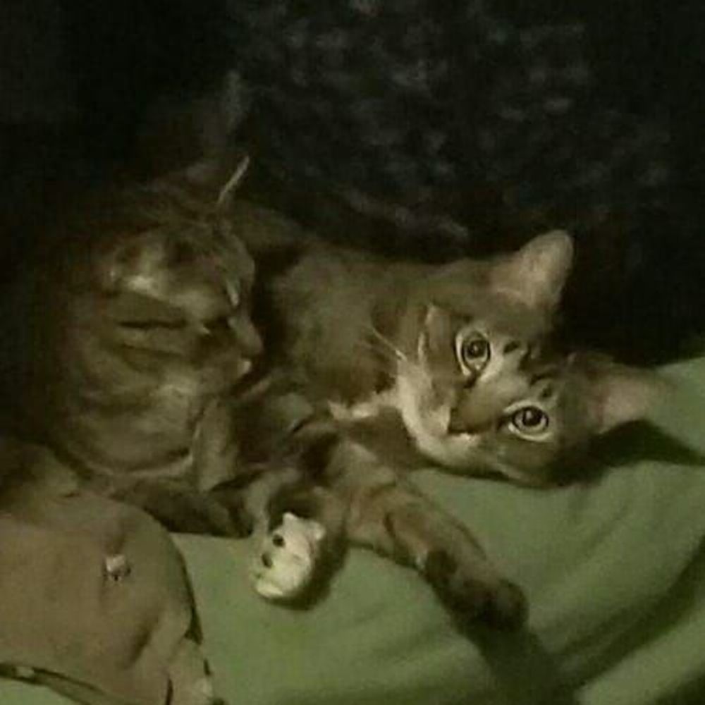 Meet your Posher, Justine